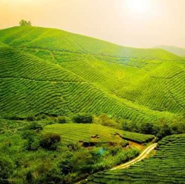 Hotel Garden Reach Kalimpong Luaran gambar