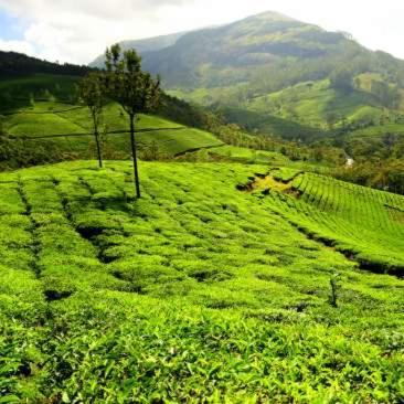 Hotel Garden Reach Kalimpong Luaran gambar